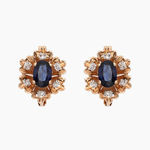 Earrings With gemstones 17084222